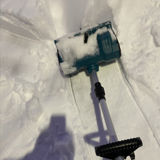 Антон Горохов